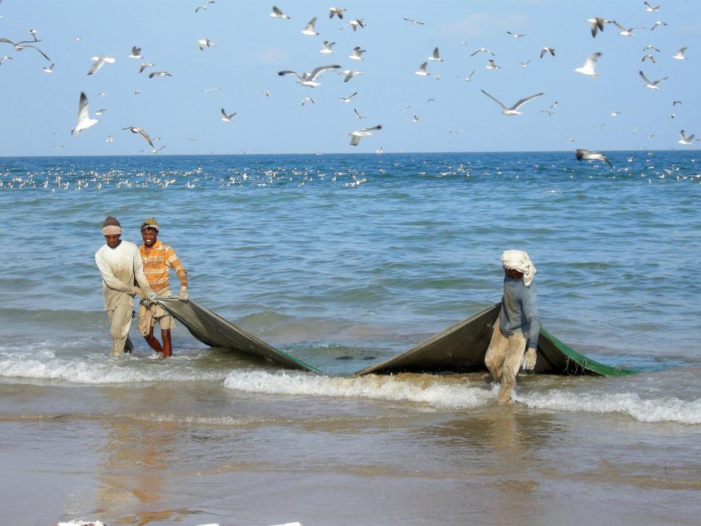 Fishing-nets